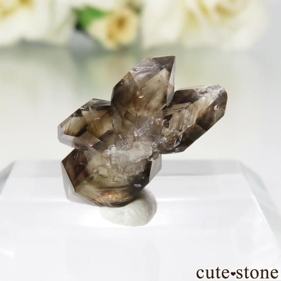 ȥꥢ Mooralla(顦) ⡼ No.49μ̿0 cute stone