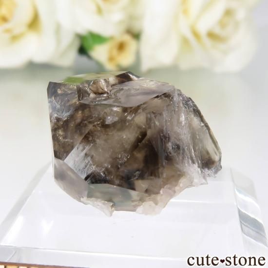 ȥꥢ Mooralla(顦) ⡼ No.53μ̿0 cute stone