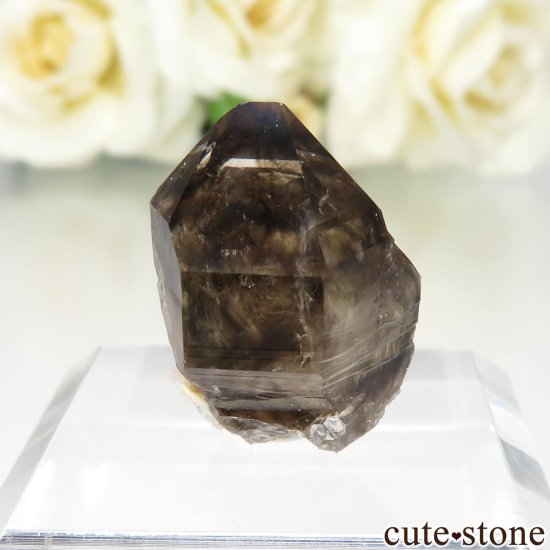 ȥꥢ Mooralla(顦) ⡼ No.55μ̿0 cute stone