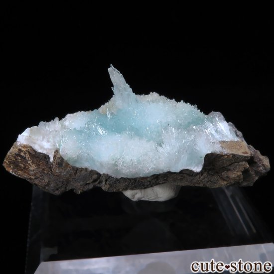  Wenshan Mine 饴ʥȤθ No.6μ̿0 cute stone