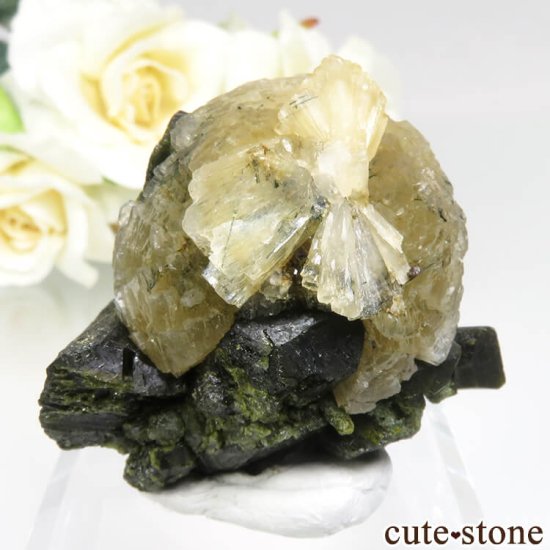 ޥ Kayes ƥ饤ȡԥɡȤθ No.1μ̿0 cute stone