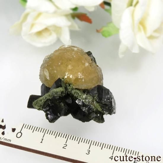 ޥ Kayes ƥ饤ȡԥɡȤθ No.1μ̿1 cute stone