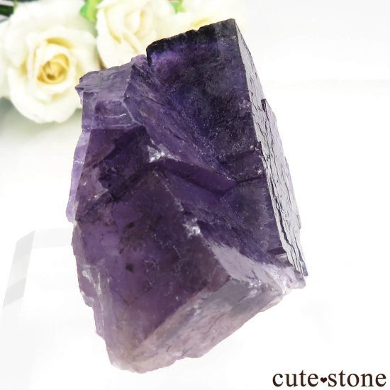 ᥭ Tule Mine ѡץե饤Ȥη뾽ʸСNo.5μ̿0 cute stone