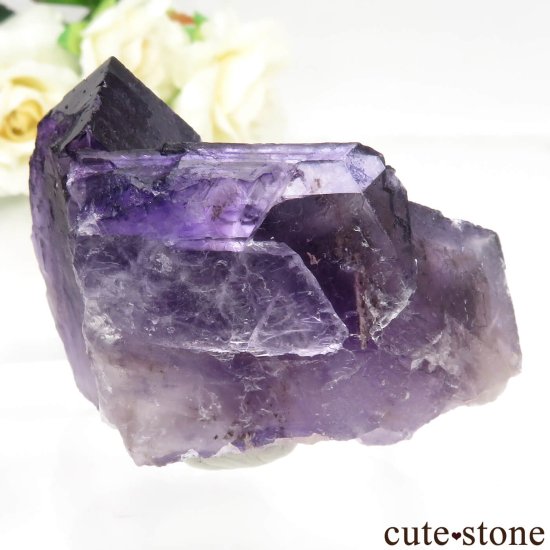 ᥭ Tule Mine ѡץե饤Ȥη뾽ʸСNo.5μ̿1 cute stone