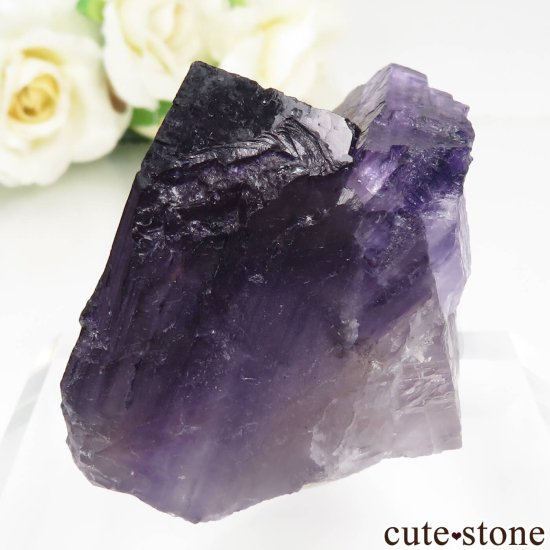 ᥭ Tule Mine ѡץե饤Ȥη뾽ʸСNo.5μ̿2 cute stone
