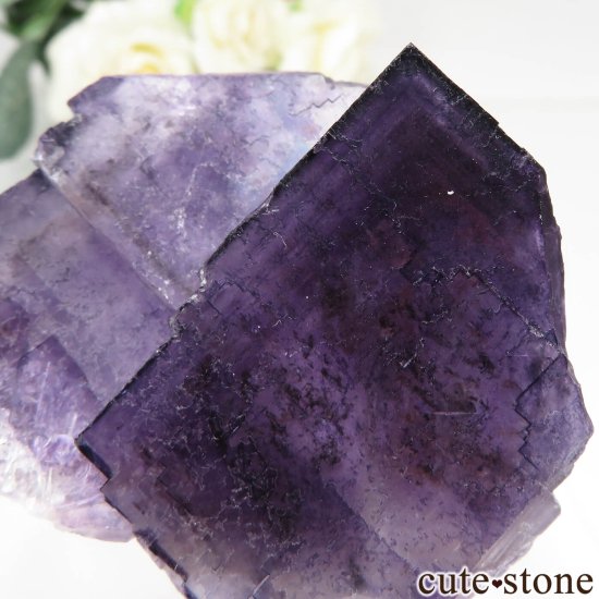 ᥭ Tule Mine ѡץե饤Ȥη뾽ʸСNo.5μ̿3 cute stone