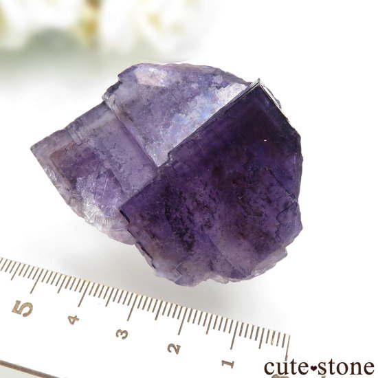 ᥭ Tule Mine ѡץե饤Ȥη뾽ʸСNo.5μ̿4 cute stone
