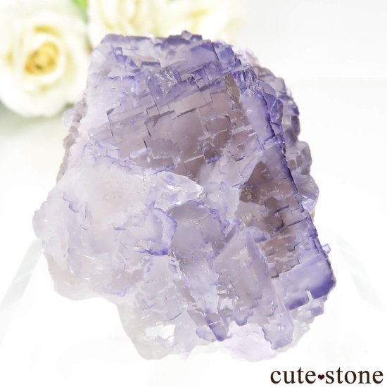 ᥭ Tule Mine ѡץե饤Ȥη뾽ʸСNo.6μ̿0 cute stone