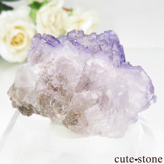 ᥭ Tule Mine ѡץե饤Ȥη뾽ʸСNo.6μ̿1 cute stone