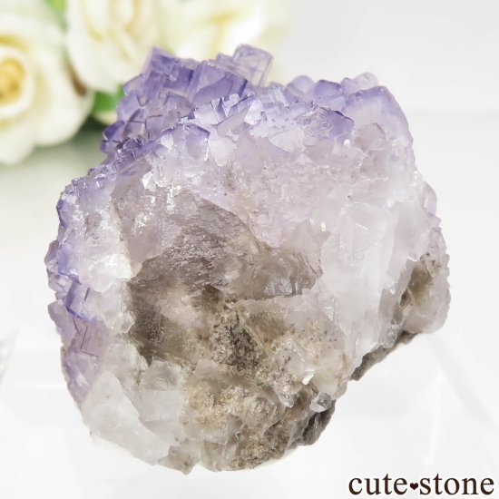 ᥭ Tule Mine ѡץե饤Ȥη뾽ʸСNo.6μ̿2 cute stone