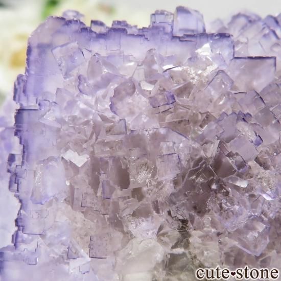 ᥭ Tule Mine ѡץե饤Ȥη뾽ʸСNo.6μ̿3 cute stone