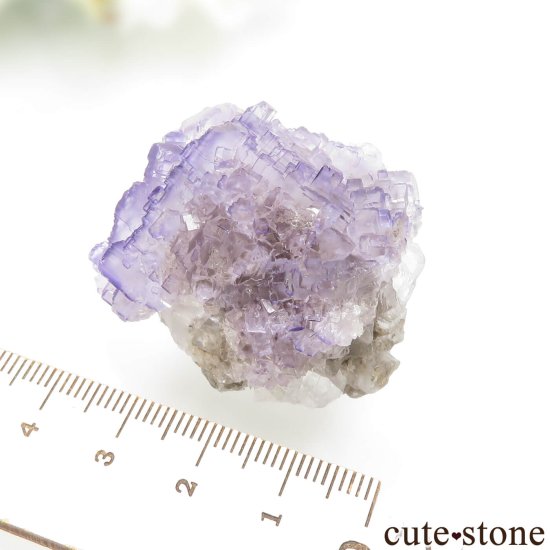 ᥭ Tule Mine ѡץե饤Ȥη뾽ʸСNo.6μ̿4 cute stone