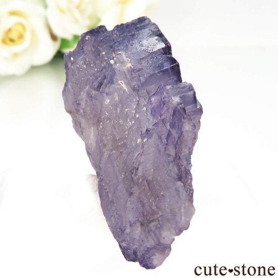 ᥭ Tule Mine ѡץե饤Ȥη뾽ʸСNo.7μ̿0 cute stone