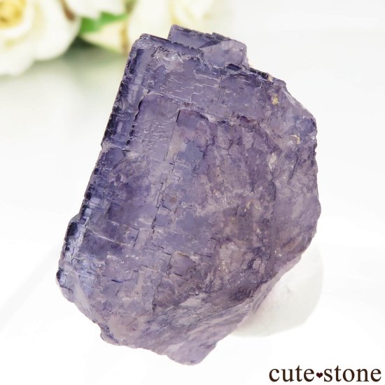 ᥭ Tule Mine ѡץե饤Ȥη뾽ʸСNo.7μ̿2 cute stone