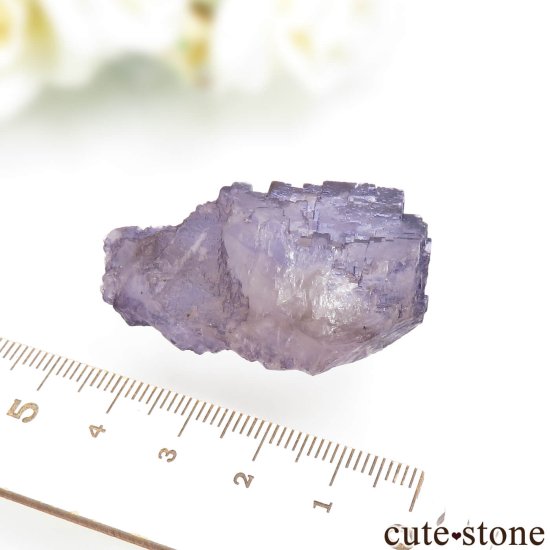 ᥭ Tule Mine ѡץե饤Ȥη뾽ʸСNo.7μ̿3 cute stone