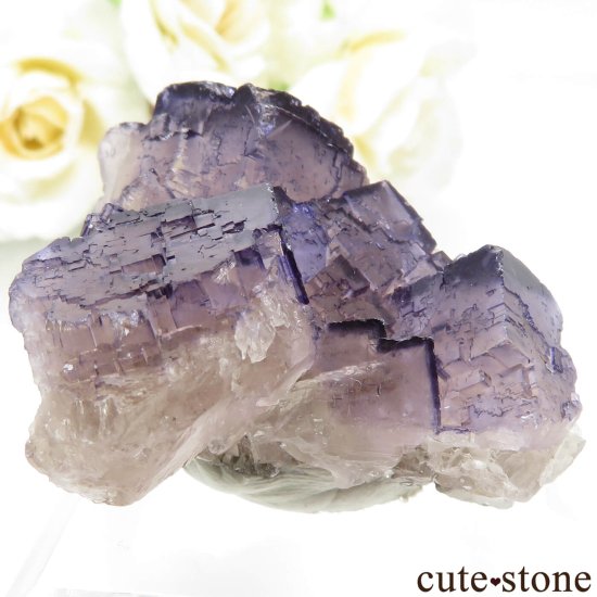 ᥭ Tule Mine ѡץե饤Ȥη뾽ʸСNo.8μ̿0 cute stone