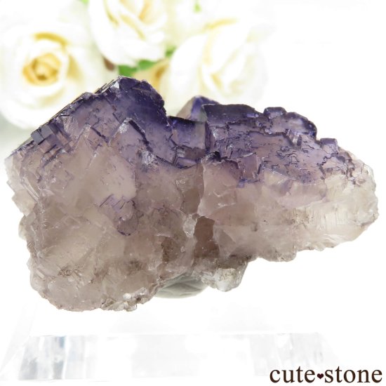 ᥭ Tule Mine ѡץե饤Ȥη뾽ʸСNo.8μ̿1 cute stone