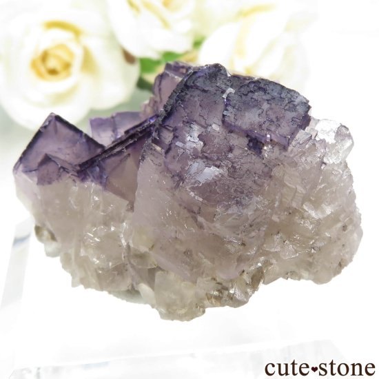 ᥭ Tule Mine ѡץե饤Ȥη뾽ʸСNo.8μ̿2 cute stone