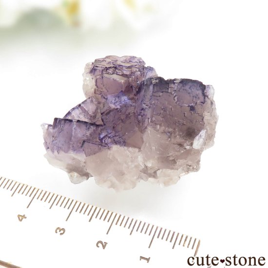 ᥭ Tule Mine ѡץե饤Ȥη뾽ʸСNo.8μ̿3 cute stone