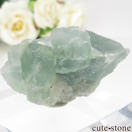 ڥ Gloria Mine ե饤Ȥθ No.5μ̿1 cute stone