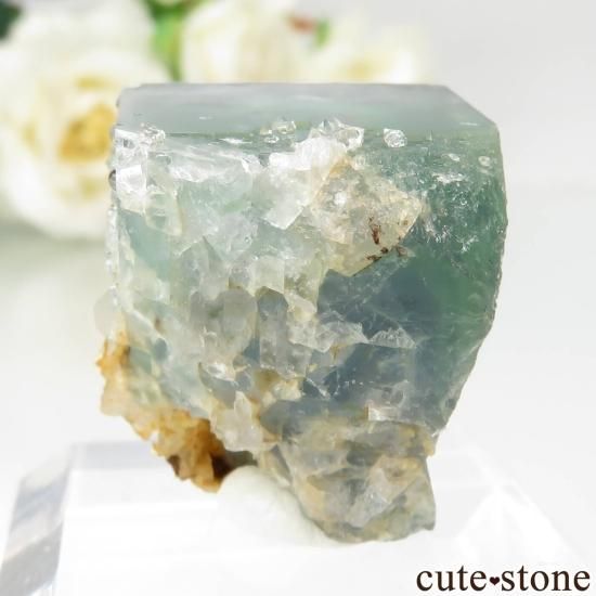 ڥ Gloria Mine ե饤ȡĤθ No.8μ̿1 cute stone