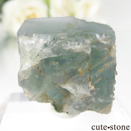 ڥ Gloria Mine ե饤ȡĤθ No.9μ̿1 cute stone