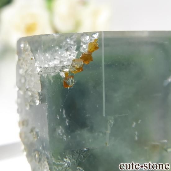 ڥ Gloria Mine ե饤ȡĤθ No.9μ̿3 cute stone