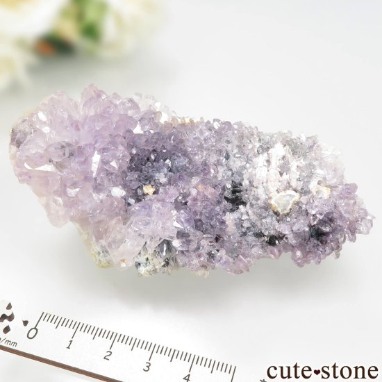 ֥饸 Rio Grande do Sul ᥸ȡʥե᥸ȡˤθ No.1μ̿4 cute stone