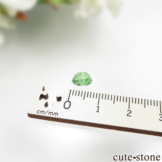 󥶥˥ ĥܥ饤ȡʥå顼ͥåȡˤθ No.31μ̿3 cute stone