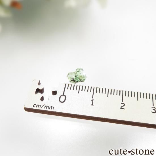 󥶥˥ ĥܥ饤ȡʥå顼ͥåȡˤθ No.34μ̿3 cute stone