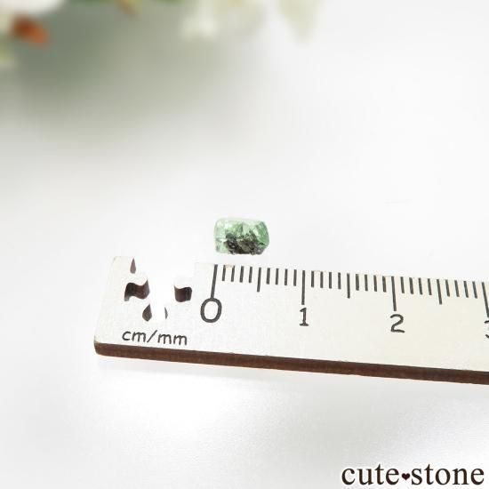 󥶥˥ ĥܥ饤ȡʥå顼ͥåȡˤθ No.35μ̿3 cute stone