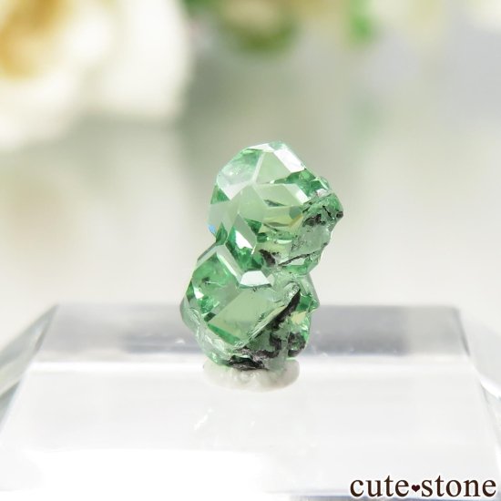 󥶥˥ ĥܥ饤ȡʥå顼ͥåȡˤθ No.36μ̿2 cute stone