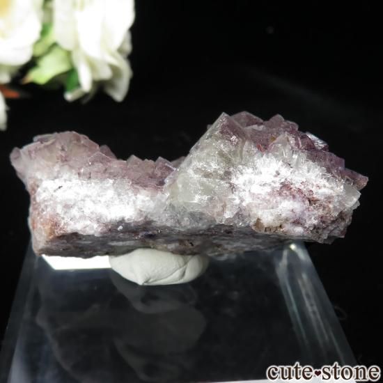 ɥ Clara Mine ե饤Ȥθ No.12μ̿1 cute stone