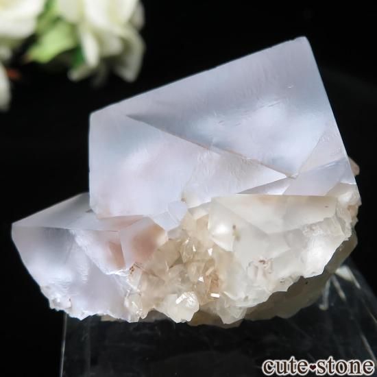 ɥ Clara Mine ե饤ȡĤθ No.13μ̿1 cute stone