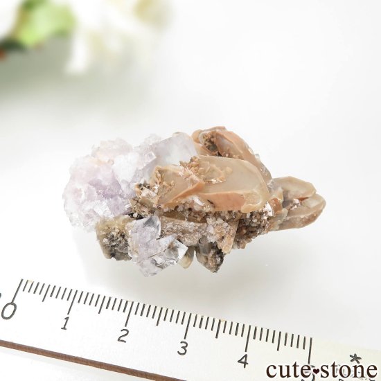 ɥ Clara Mine ե饤ȡХ饤Ȥθ No.14μ̿4 cute stone
