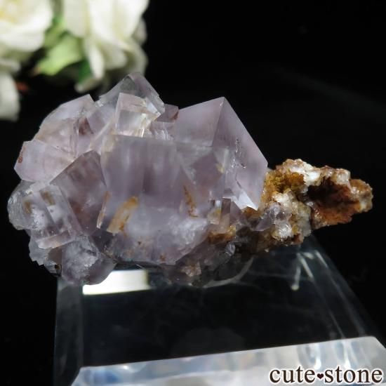 ɥ Clara Mine ե饤ȡĤθ No.15μ̿1 cute stone