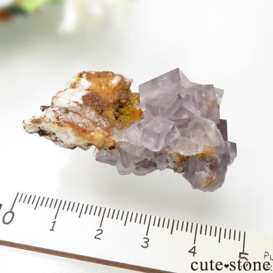 ɥ Clara Mine ե饤ȡĤθ No.15μ̿3 cute stone
