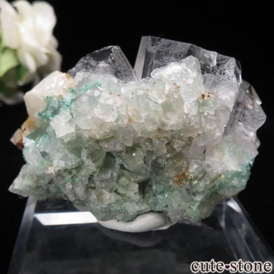 ɥ Clara Mine ե饤ȡХ饤Ȥθ No.16μ̿1 cute stone