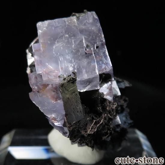 ɥ Clara Mine ե饤Ȥθ No.17μ̿1 cute stone