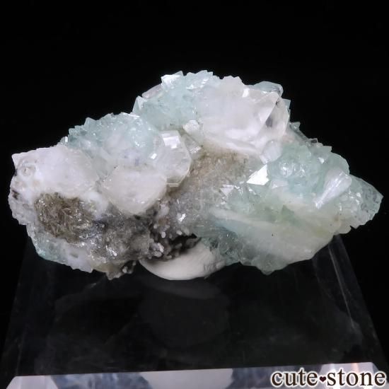  ץ͡ ꡼󥢥ݥե饤ȡƥХȤθ No.36μ̿1 cute stone