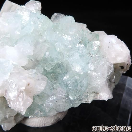  ץ͡ ꡼󥢥ݥե饤ȡƥХȤθ No.36μ̿3 cute stone