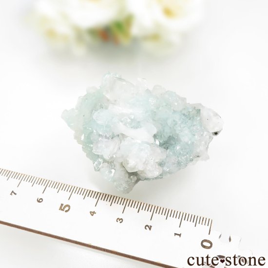  ץ͡ ꡼󥢥ݥե饤ȡƥХȤθ No.36μ̿5 cute stone