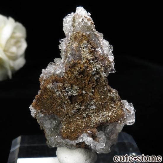 ڥ Manolita Mine 륵Ȥθ No.1μ̿1 cute stone