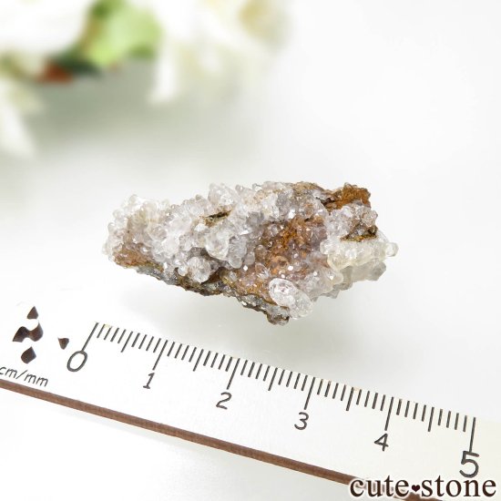 ڥ Manolita Mine 륵Ȥθ No.1μ̿3 cute stone