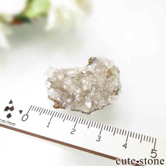 ڥ Manolita Mine 륵Ȥθ No.2μ̿2 cute stone