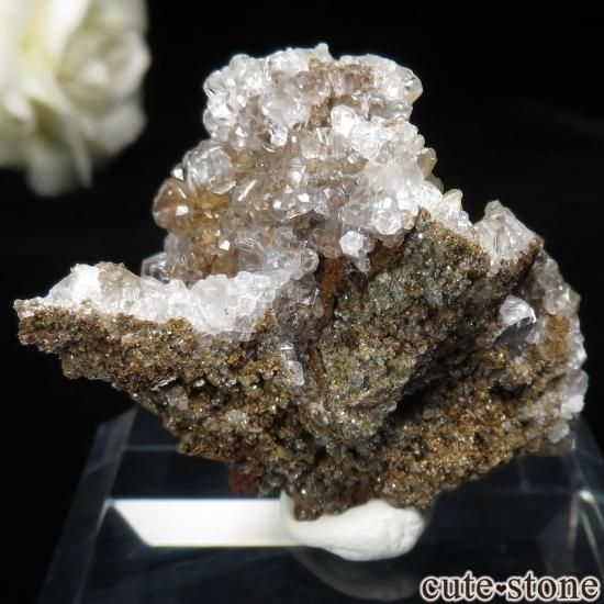 ڥ Manolita Mine 륵Ȥθ No.4μ̿1 cute stone