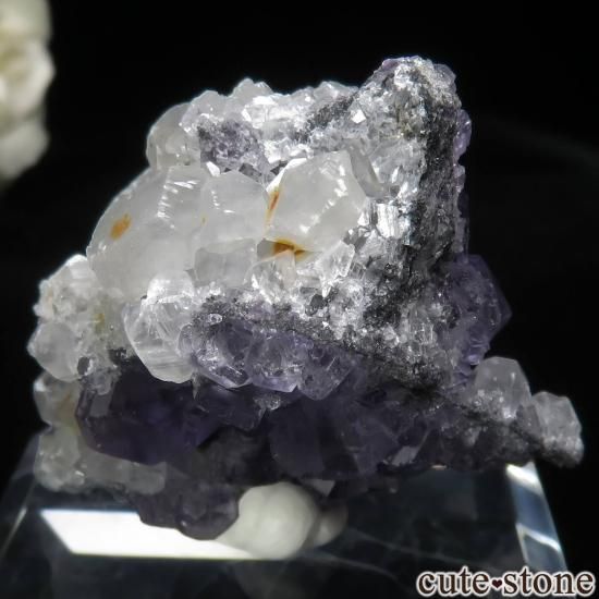  ʡʻ ե饤ȡ륵Ȥθ No.40μ̿1 cute stone