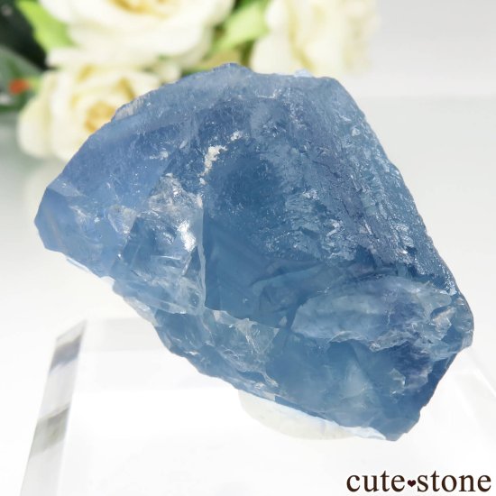 ꥫ ˥塼ᥭ TEAA Mine ֥롼ե饤Ȥθ No.16μ̿0 cute stone