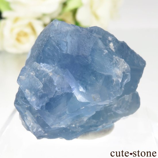 ꥫ ˥塼ᥭ TEAA Mine ֥롼ե饤Ȥθ No.16μ̿1 cute stone