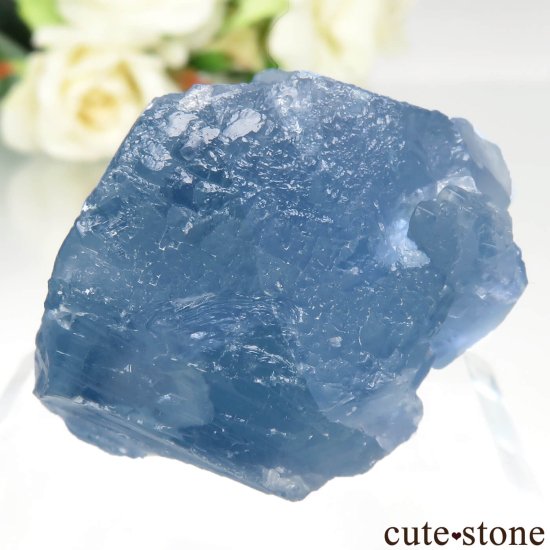 ꥫ ˥塼ᥭ TEAA Mine ֥롼ե饤Ȥθ No.16μ̿2 cute stone